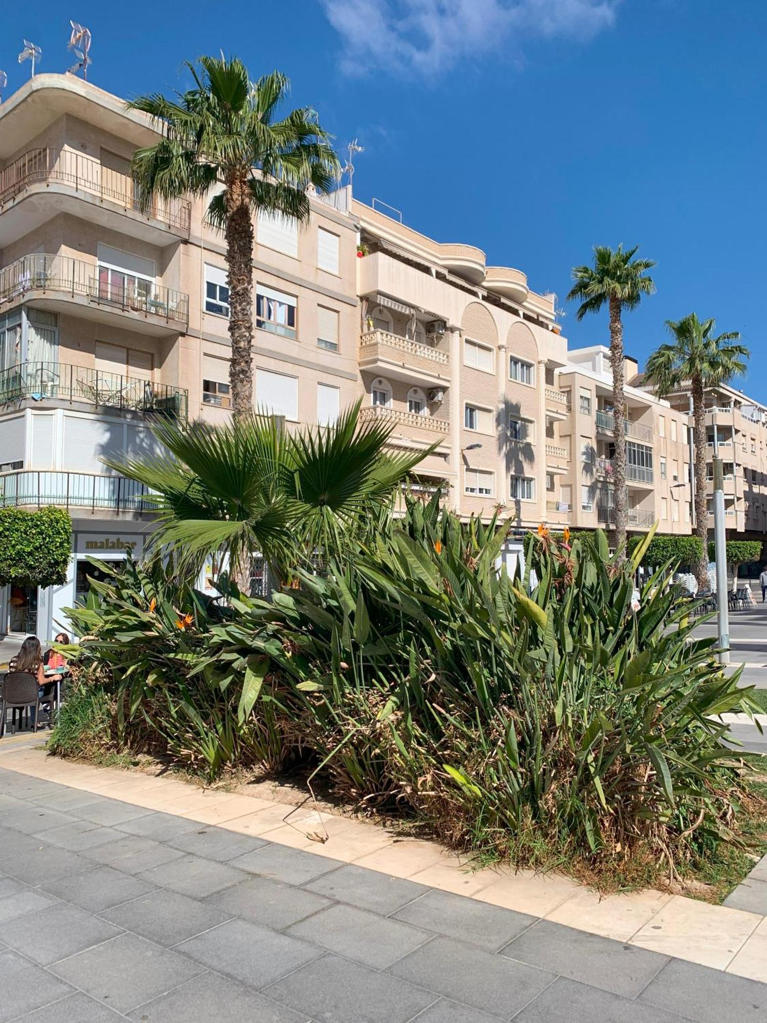 Princesa Blanka By Zanis Torrevieja Exterior foto
